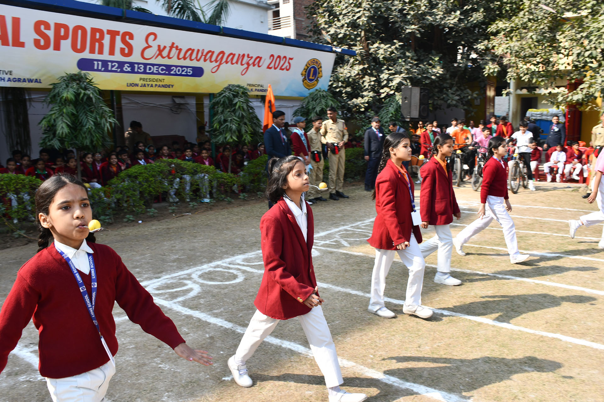 Lions Public School